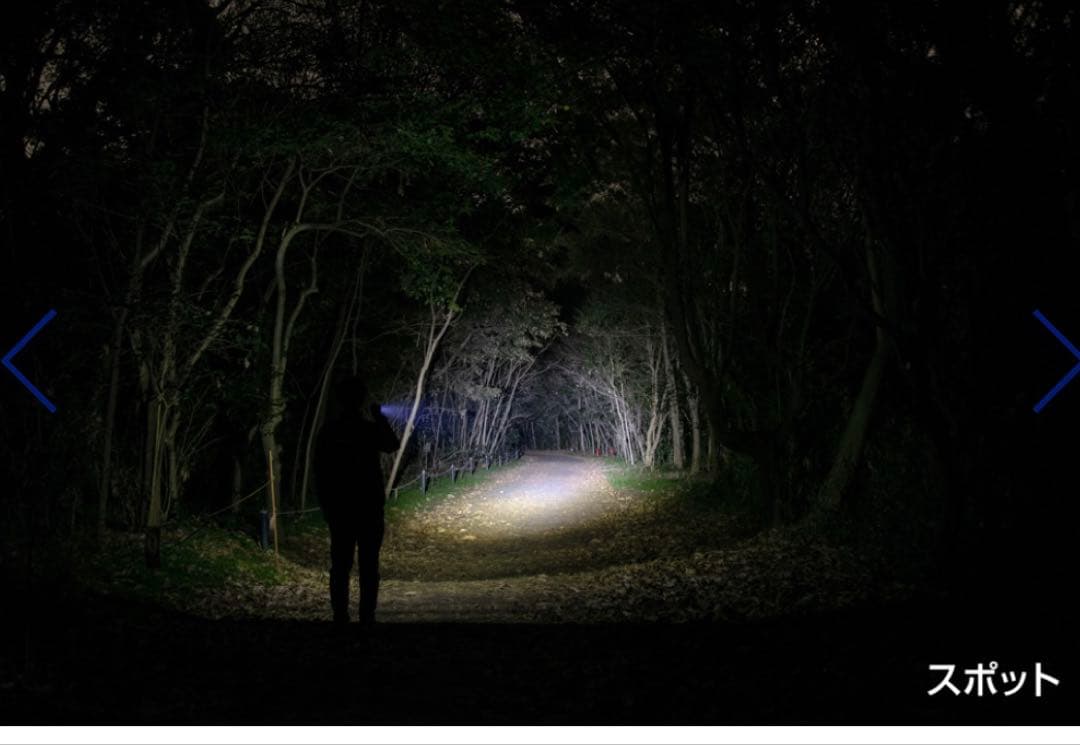 ♡新品未開封♡ GENTOS GF-214RG LEDライト