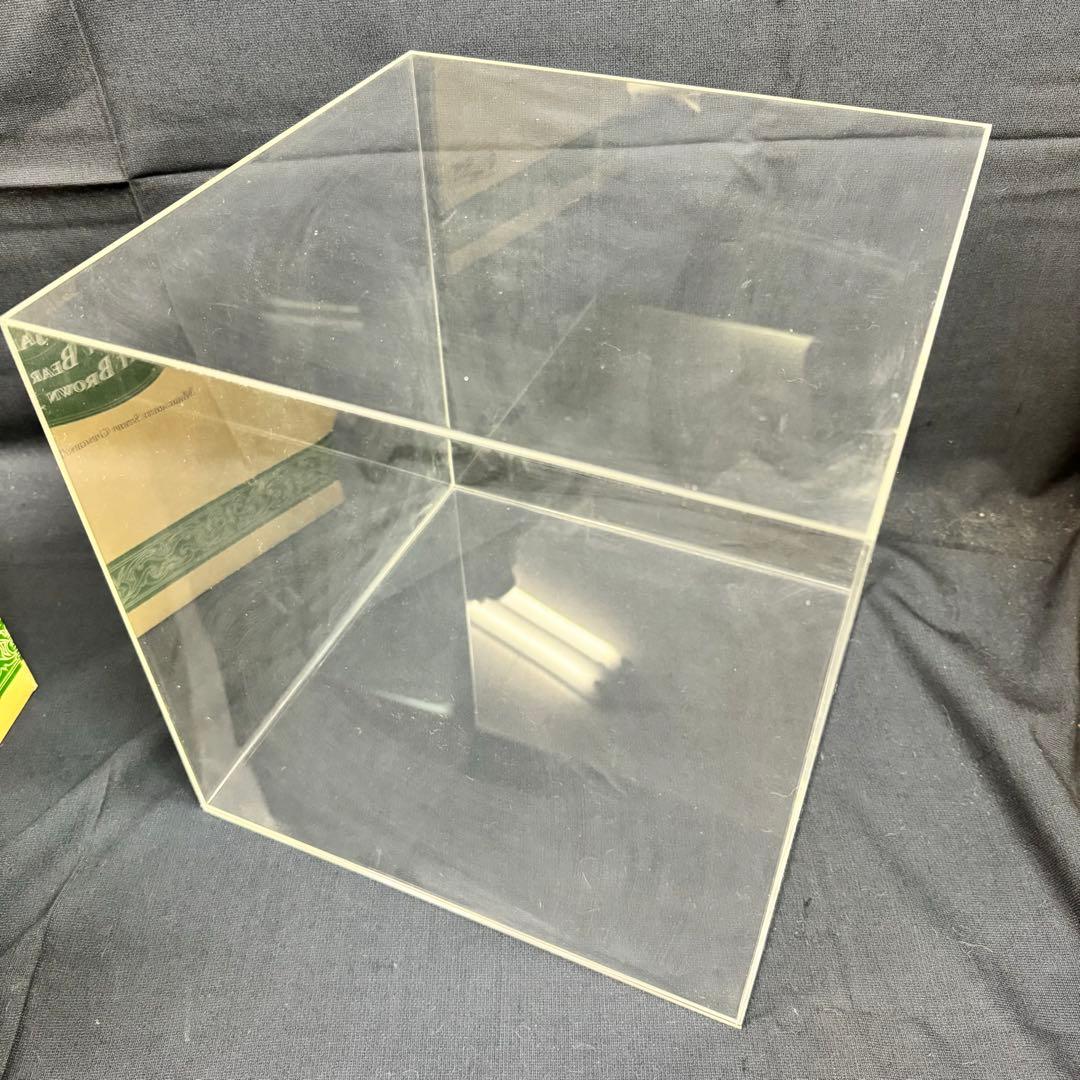 137-99 限定品 シュタイフ ハリウッドベア チューキー テディベア