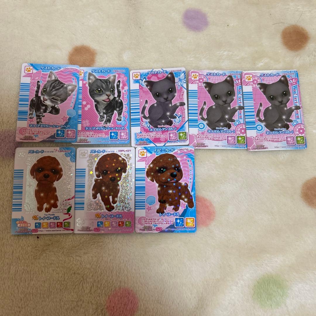 ワンタメ　カード　m＊プロフ必読様確認用