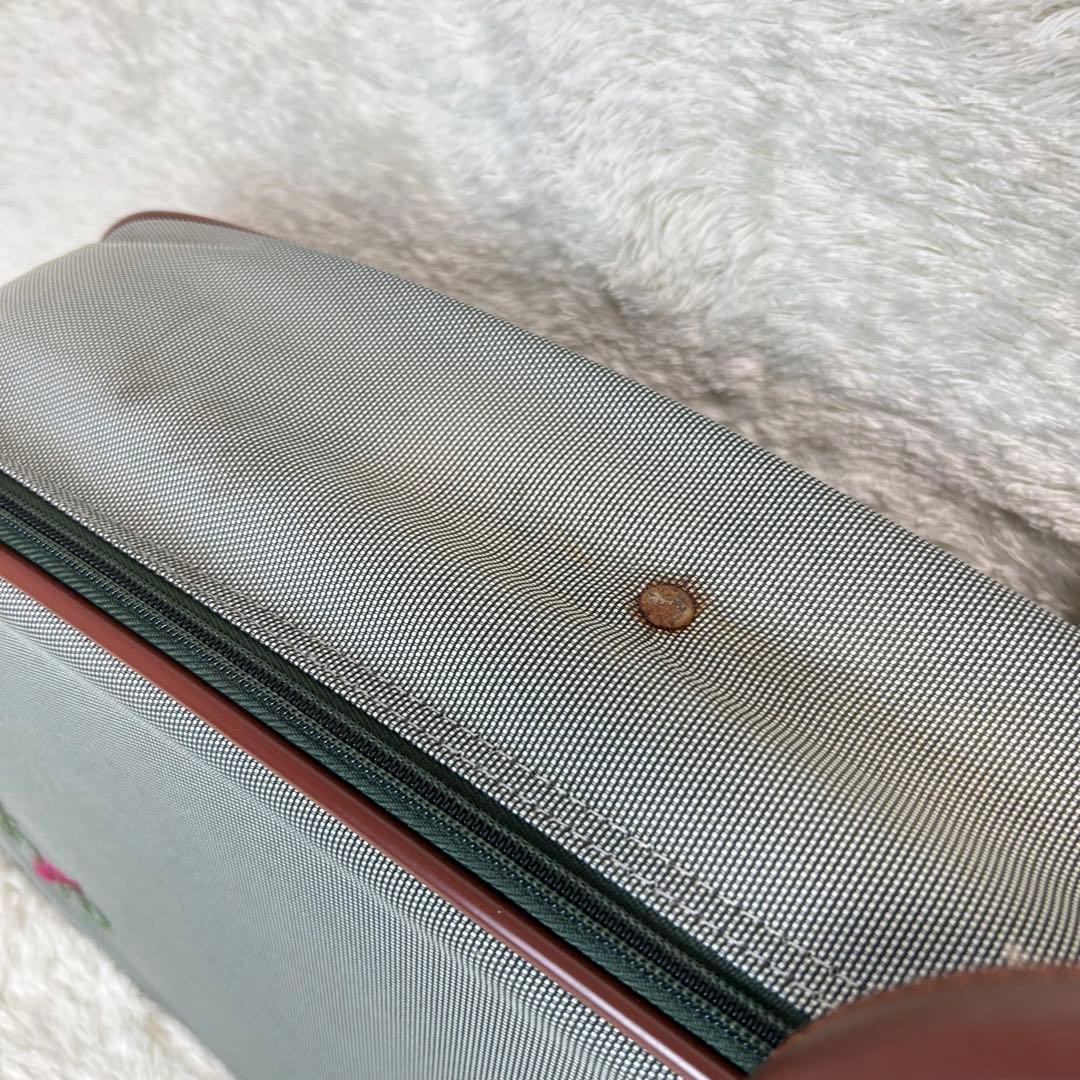 スズキ　SUZUKI 電子大正琴　TES-151 あゆ　伴奏機能付き