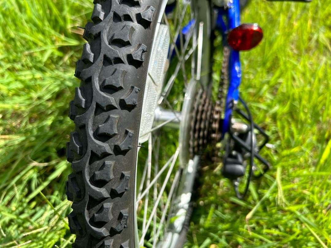 ルイガノ LGS－Ｊ２０６ 6段変速ギヤ 色：ブルー サイコン付