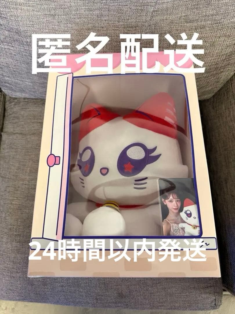 おすわりミャイズ 石井蘭 ラミー未開封