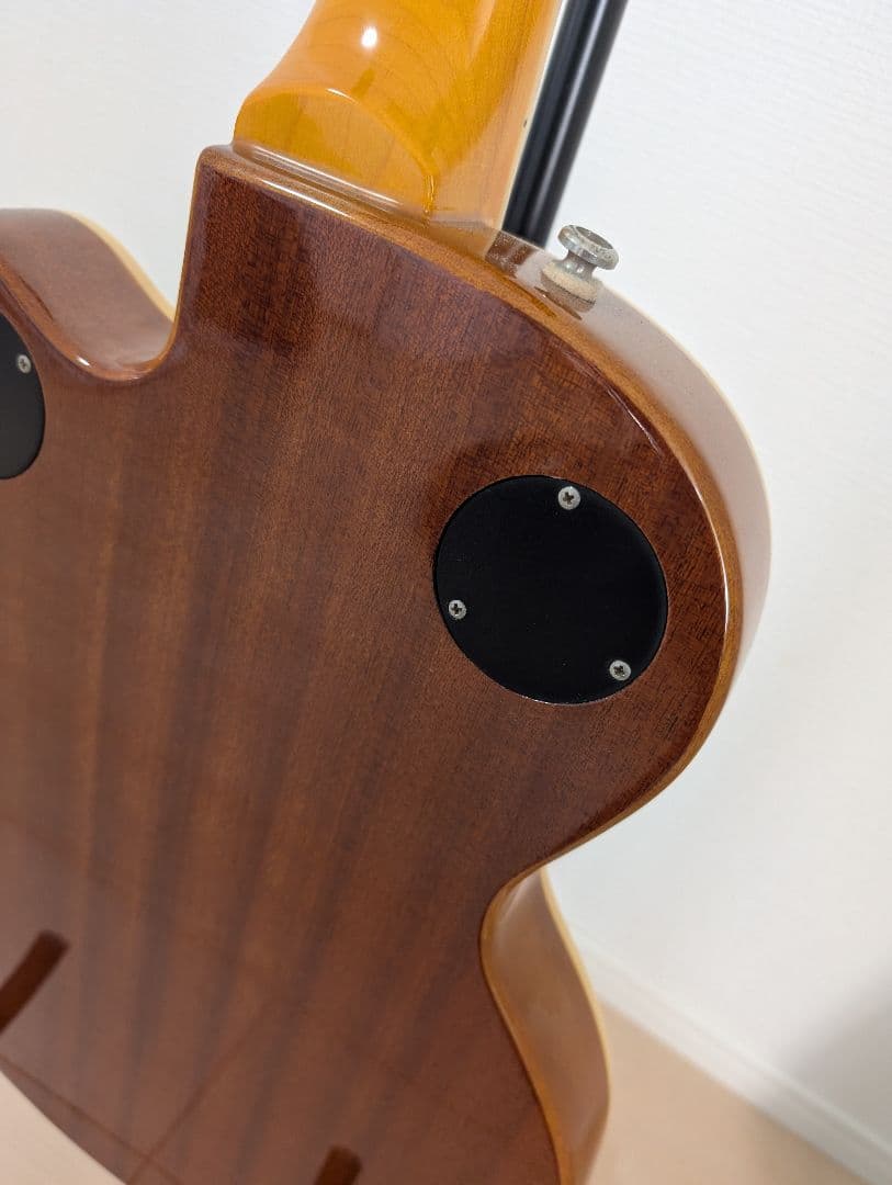 Epiphone Wildkat エピフォン　ワイルドキャット　ビグスビ―付