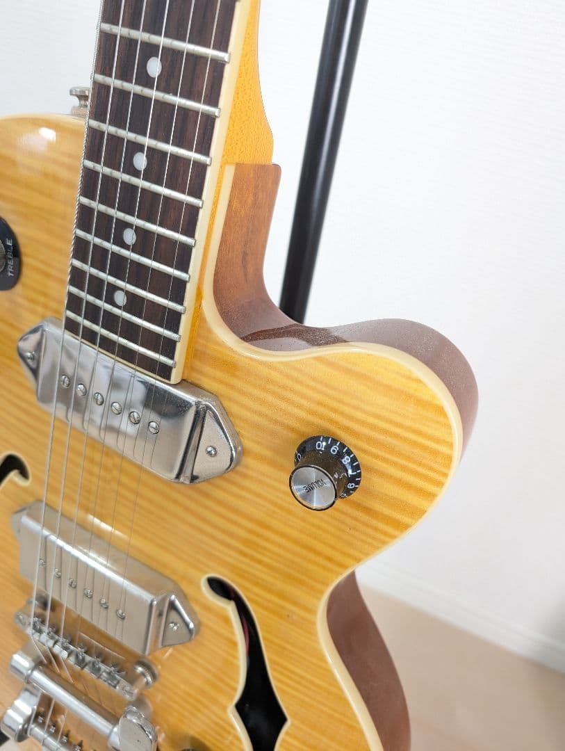 Epiphone Wildkat エピフォン　ワイルドキャット　ビグスビ―付