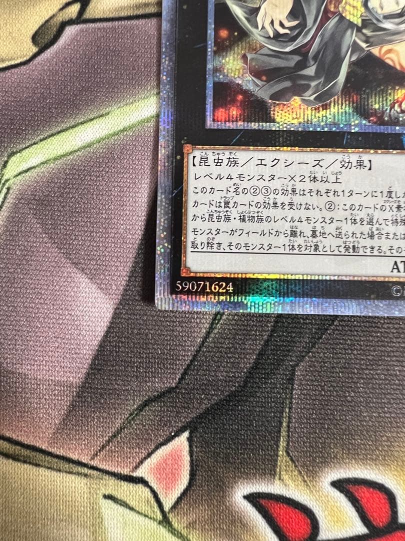 遊戯王　アロメルスの蟲惑魔　20th