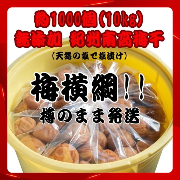 ★人気爆発！紀州南高梅 樽 10kg 梅 無添加 和歌山 紀州 白梅 0409