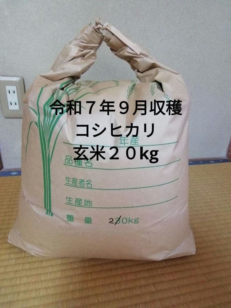 令和７年９月収穫　コシヒカリ玄米２０kg
