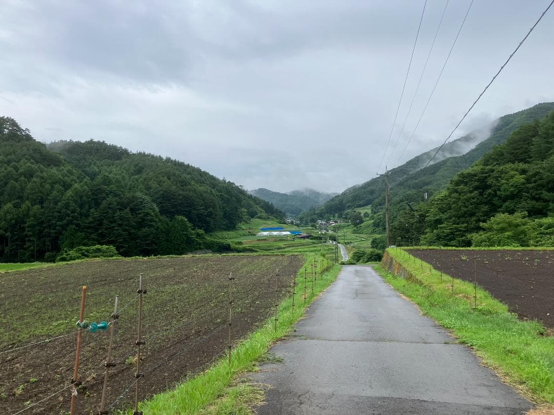 【初出】山栗 百花蜜 1000g 2本 信州産 セイヨウ蜜蜂 栗蜜 国産蜂蜜