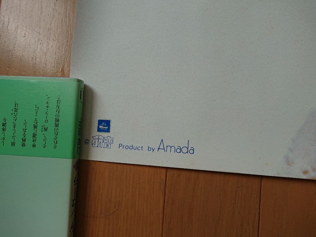 中森明菜ポスター(73) デビュー当時 市販品③