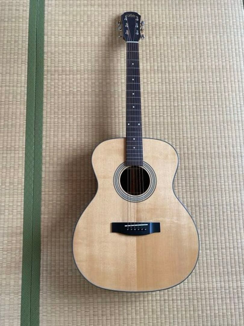 アコースティック　ギター　ソフトケース