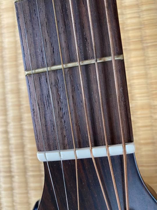 アコースティック　ギター　ソフトケース