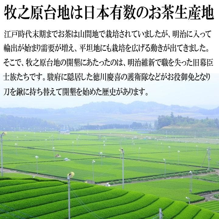 静岡茶 深むし茶360g×10個 送料無料 かのう茶店 お茶煎茶お買い得産直格安