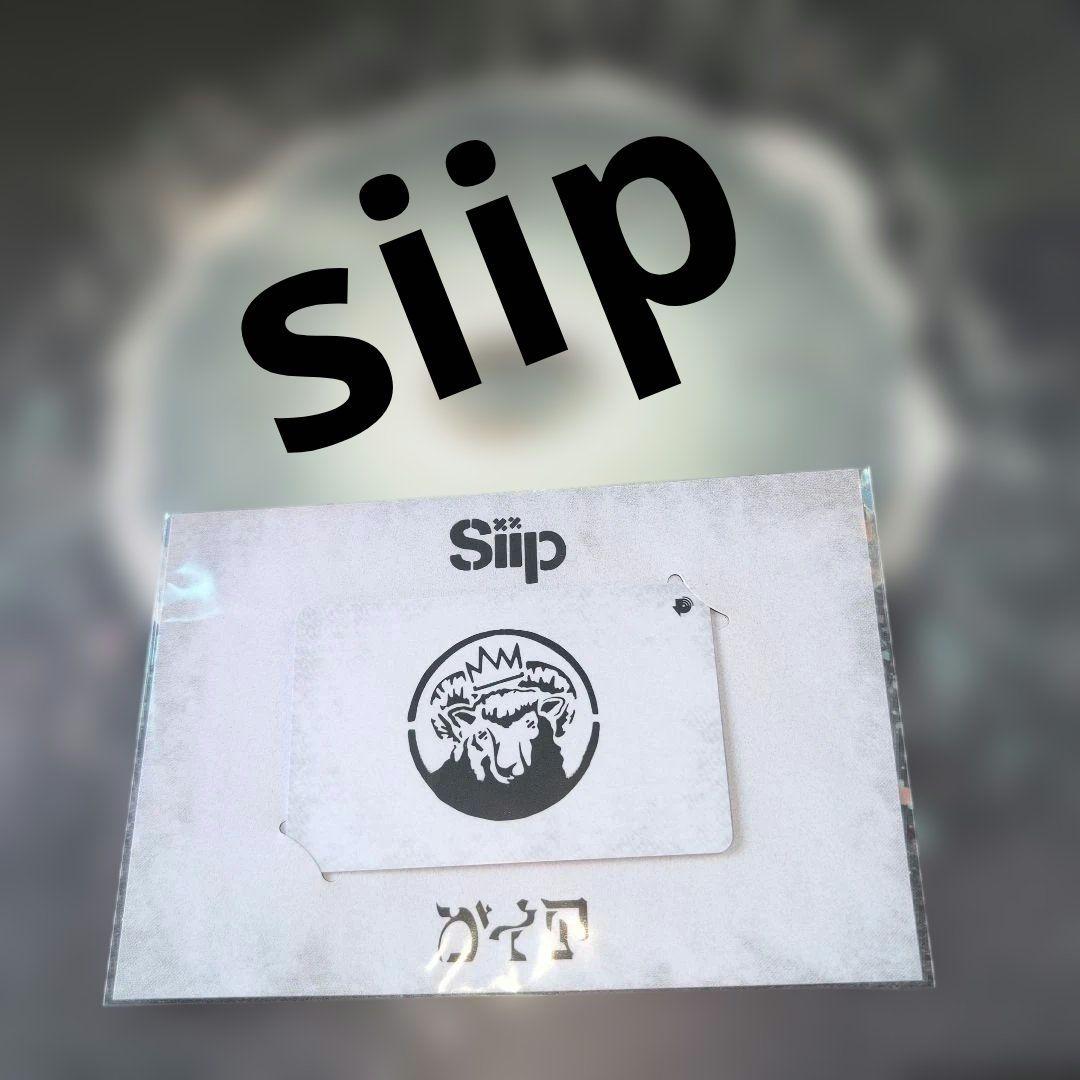 Siip PlayPASS PAK（ダウンロードカード）　大森元貴