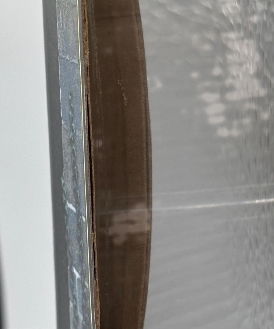 【未開封】 カプコン クリエイターズモデル 金火竜 リオレイア 希少種