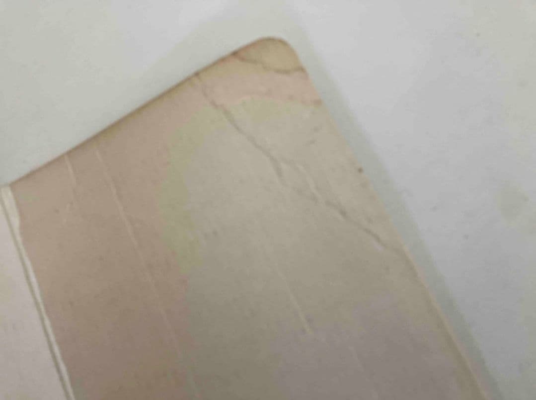 非売品1993年 夏東映アニメフェア　カーシェード　昭和シェル　冨樫義博　烏山明