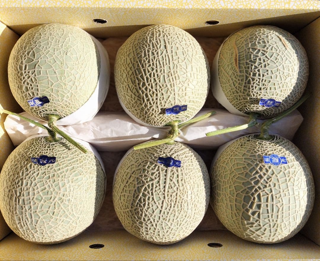 と*ろ様 高知産　約８，６kg　訳あり温室マスクメロン　６玉　北海道沖縄発送不可