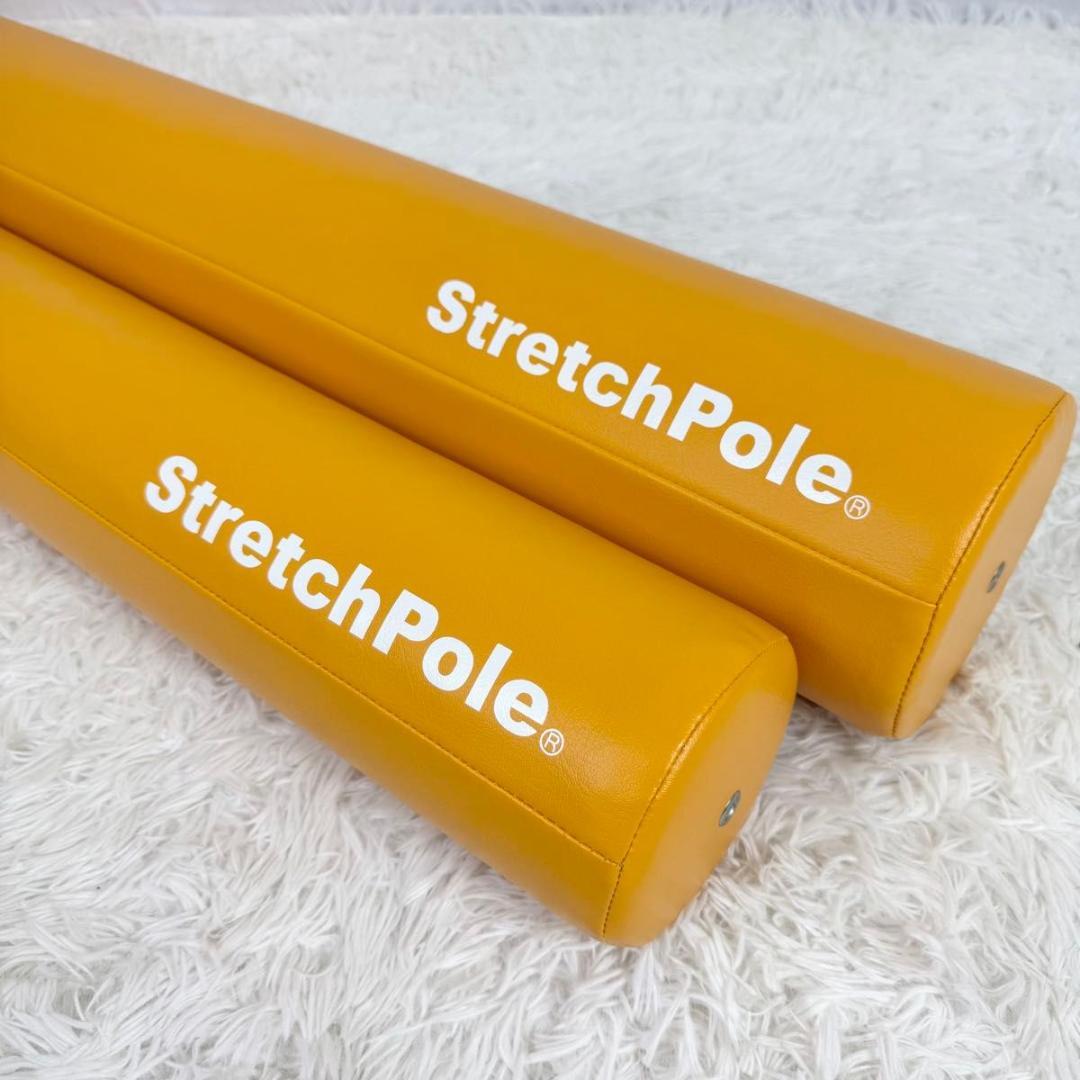 【美品】LPN ストレッチポール EX MX セット エクササイズ 812-1