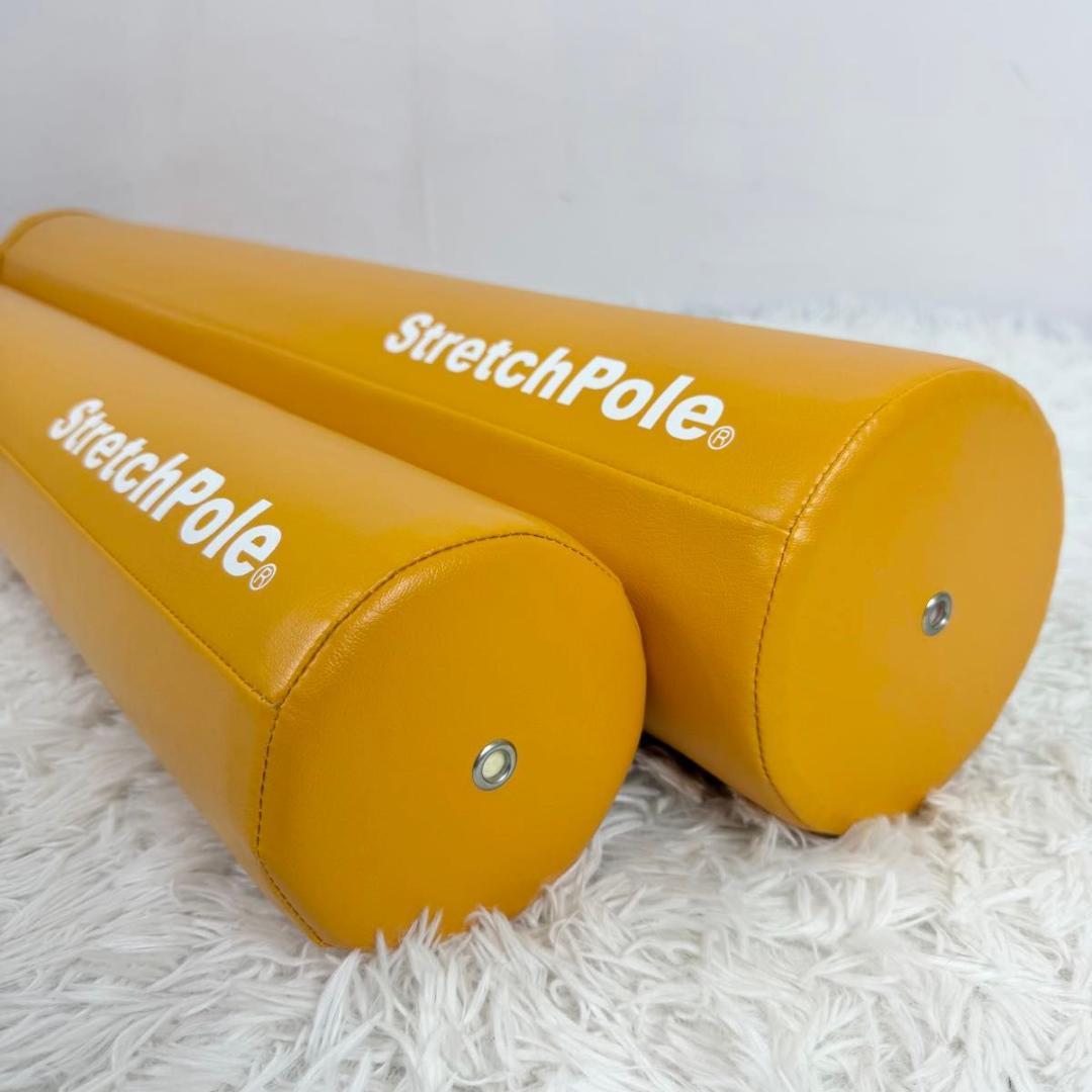 【美品】LPN ストレッチポール EX MX セット エクササイズ 812-1