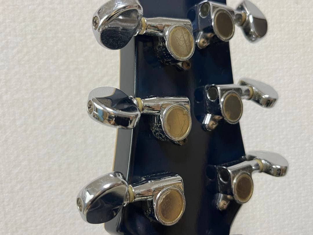 Fernandes フェルナンデス APG-55S サスティナー エレキギター
