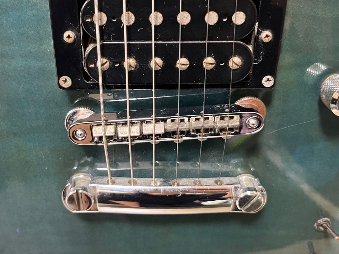 Fernandes フェルナンデス APG-55S サスティナー エレキギター