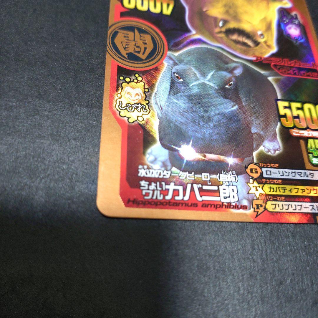 【超希少】ちょいワルカバ二郎／ちょいツヨカバ三郎アニマルカイザー銅キラ