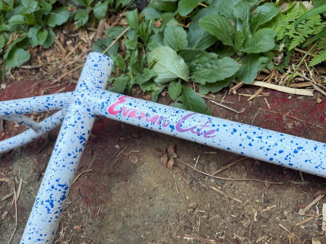 Crust bikes Evasion Lite クラスト エバージョンライトS