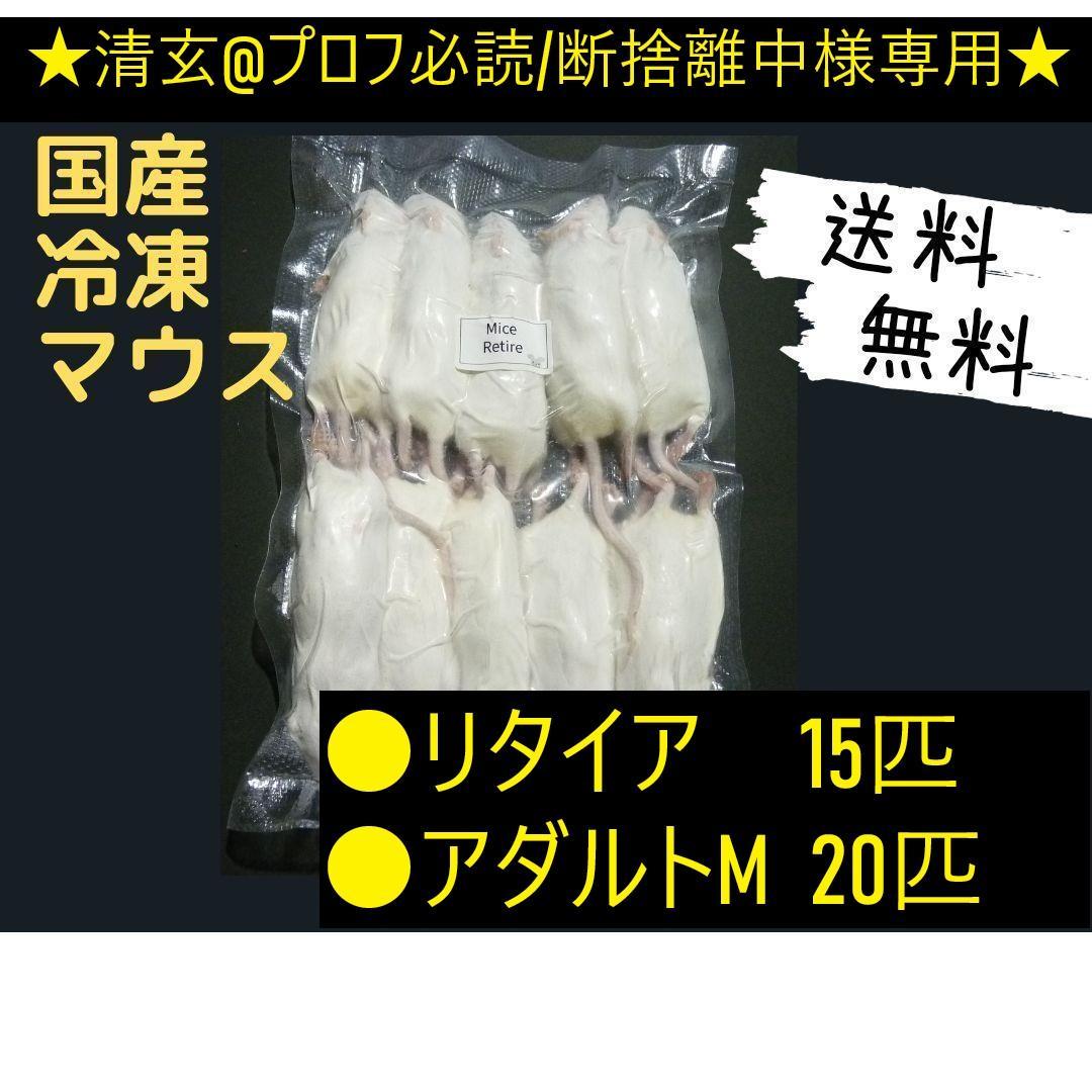 ★清玄@プロフ必読/断捨離中★国産冷凍マウス リクエスト品