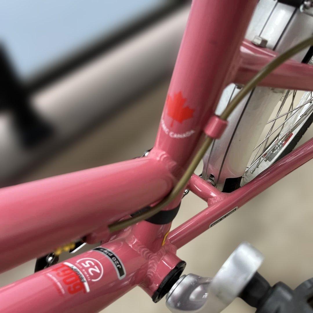 LOUIS GARNEAU 子供用自転車　前カゴ付き　6段階ギア　20インチ