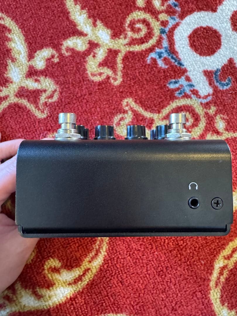 【ハリー】strymon IRIDIUM