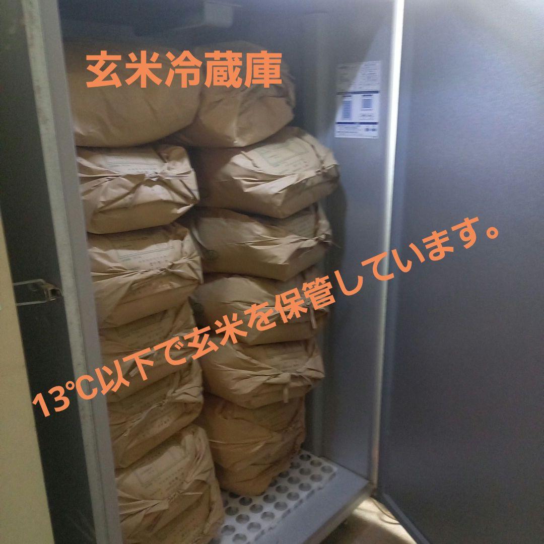 農家直送！！ 令和7年滋賀県産コシヒカリ白米27kg