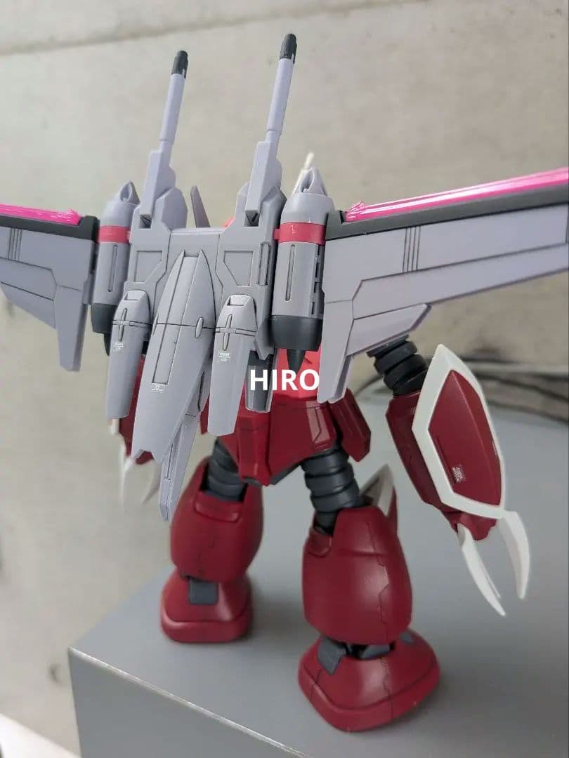 HG　ズゴック　キャバリアーアイフリッド　完成品　SEED　フリーダム　ガンプラ