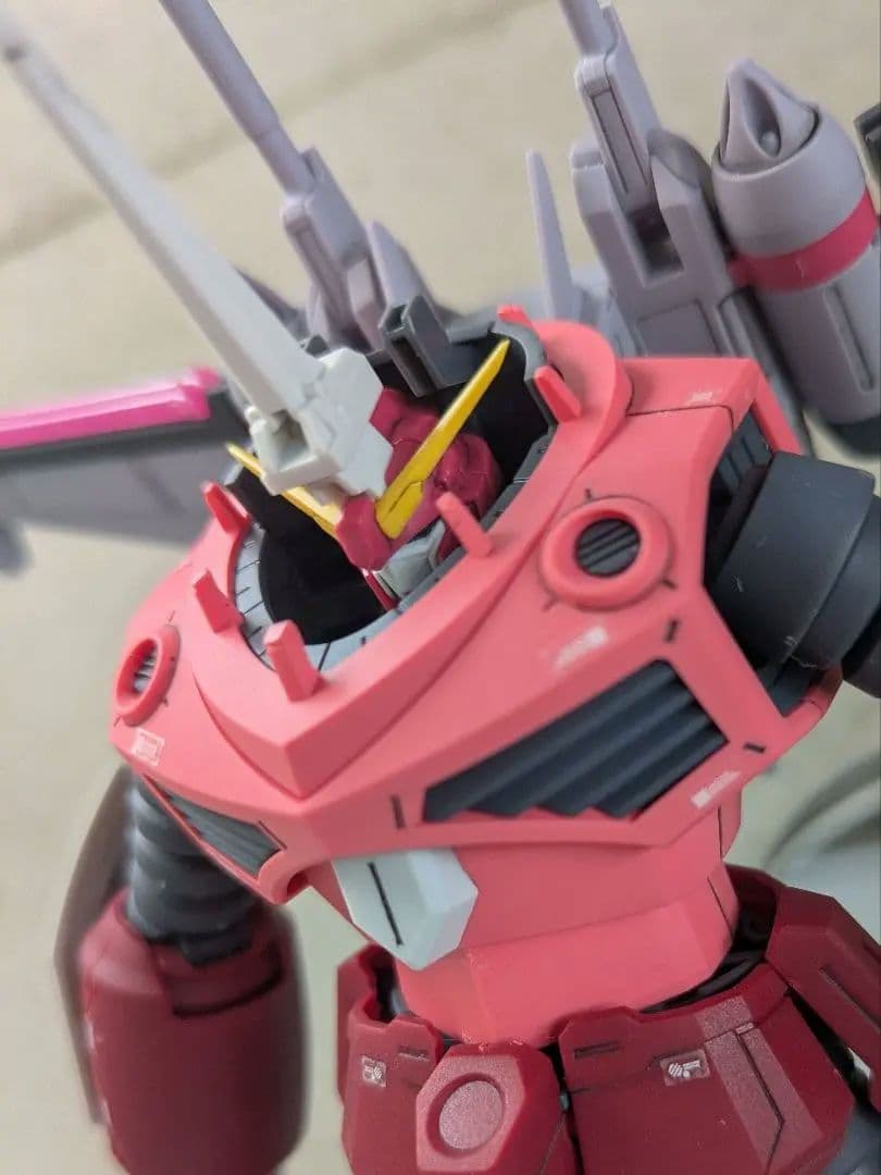 HG　ズゴック　キャバリアーアイフリッド　完成品　SEED　フリーダム　ガンプラ