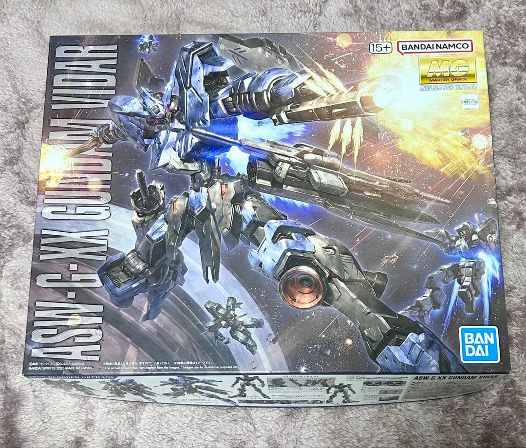 MG 1/100 ガンダムヴィダール