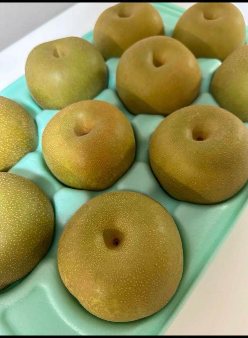 千葉産、豊水梨10キロ箱