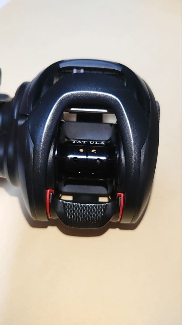 ダイワ 19タトゥーラ TW 100XHL