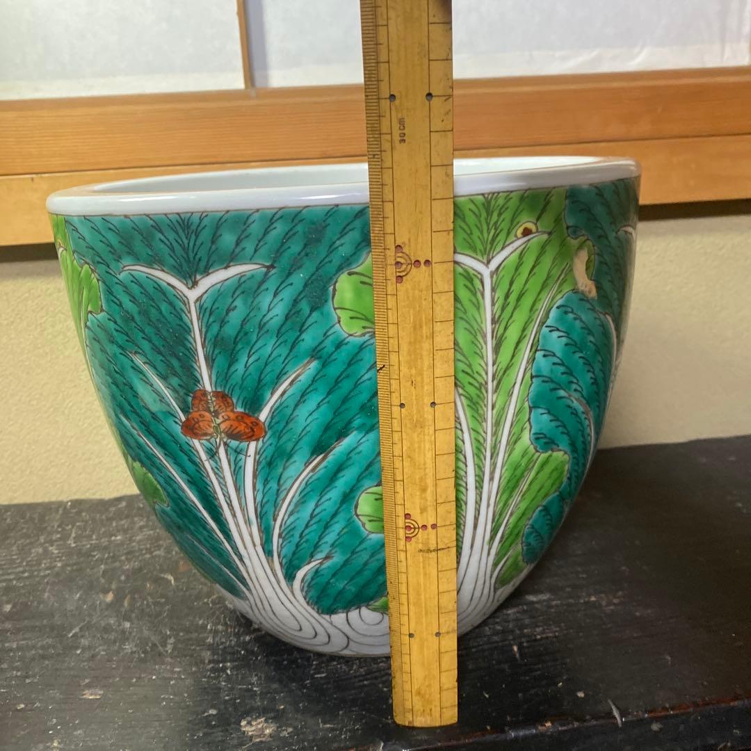 中国古玩　春白菜図水蓮鉢