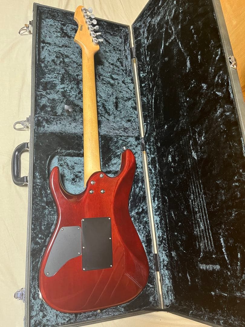 T’s guiters DST-24 order エレキギター