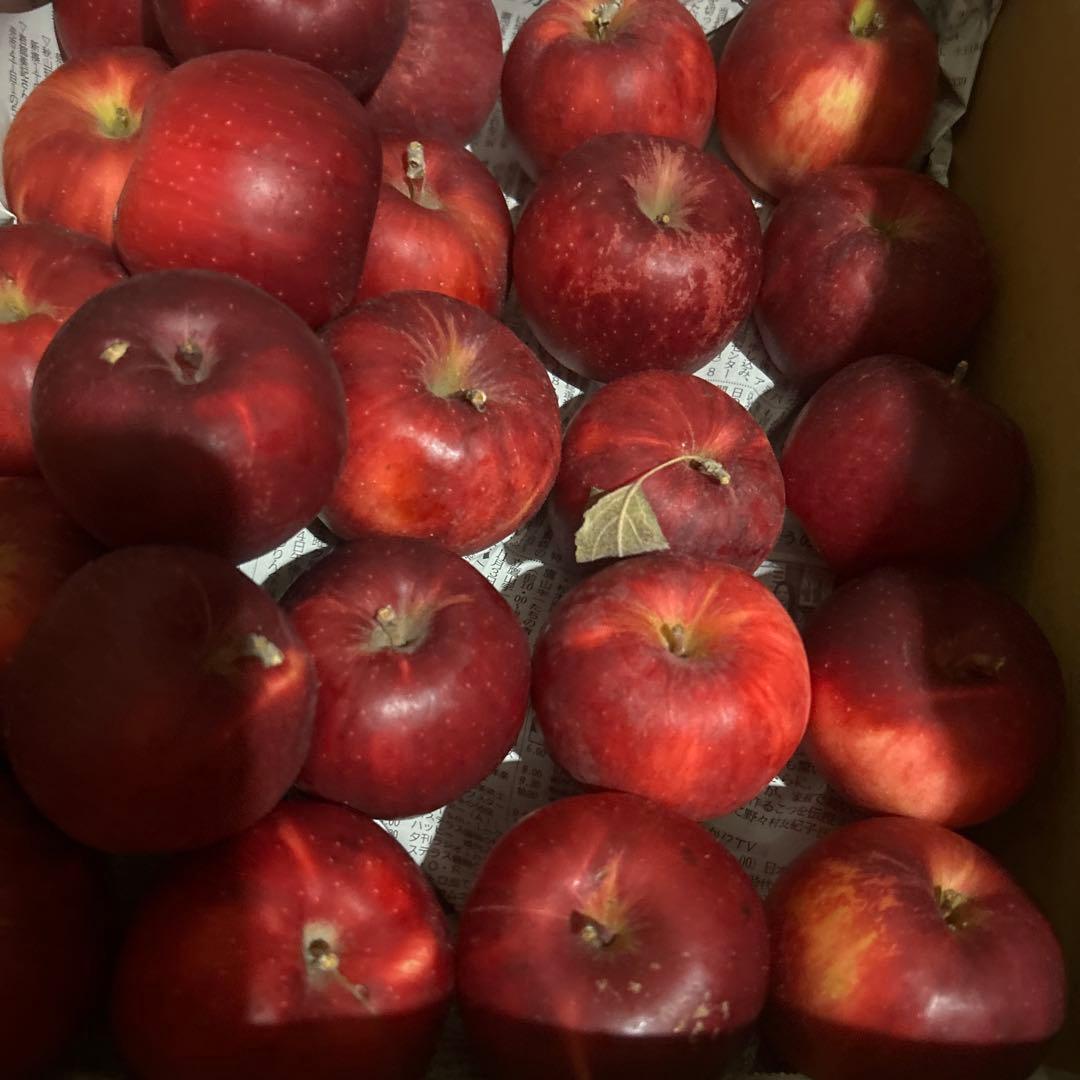 青森県産農薬不使用紅玉りんご10キロ送料無料