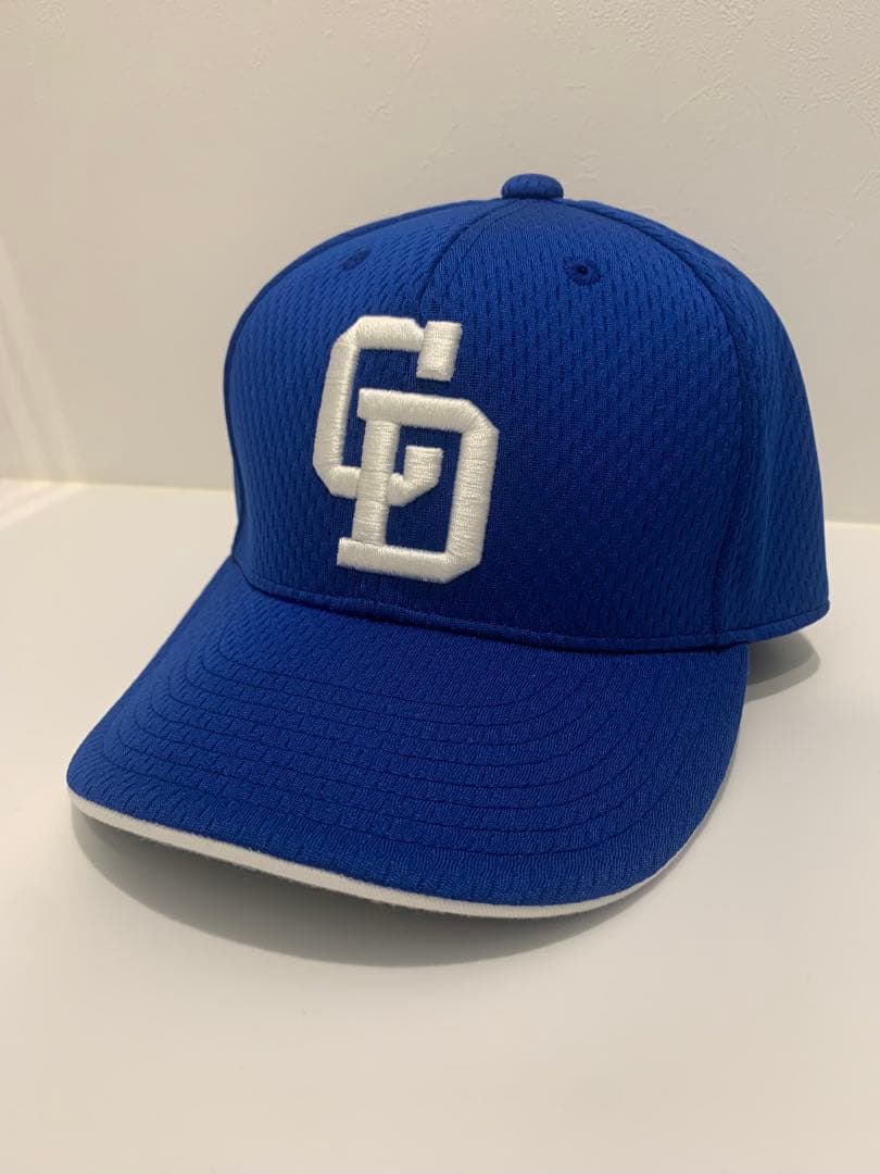 中日ドラゴンズプロコレクション帽子・NPB