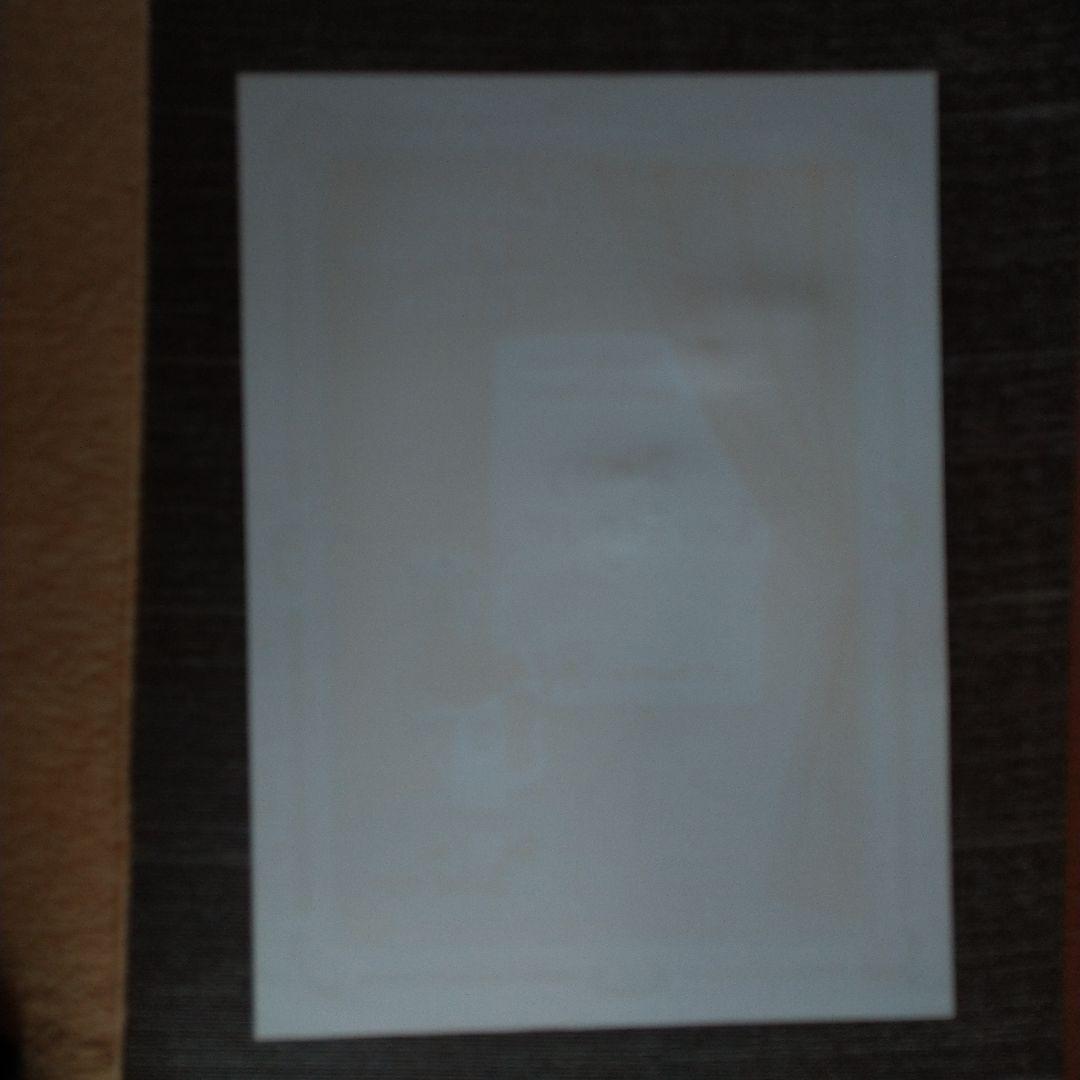 Dany Lartigue リトグラフ ポスター 1971年