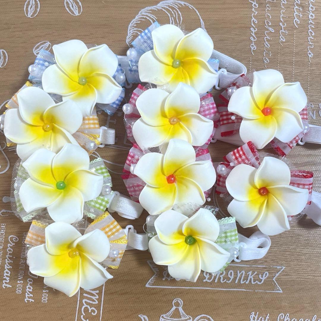 姫香ページ トリミングチョーカー 夏