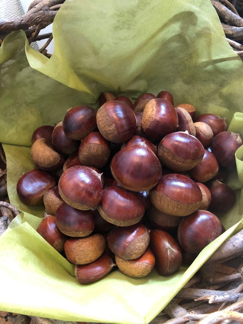 ★笠間の栗♪栗♪栗♪★15k 超★3L大粒混じりMix★業務用★皆でお得♪♪