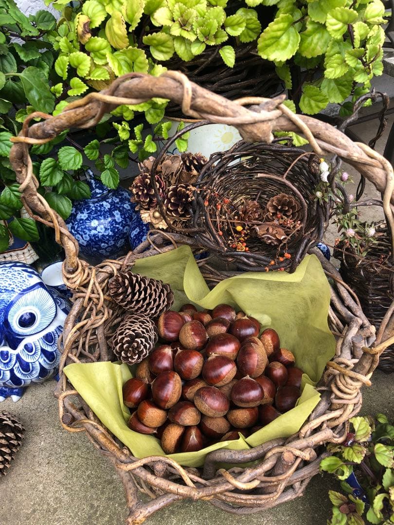 ★笠間の栗♪栗♪栗♪★15k 超★3L大粒混じりMix★業務用★皆でお得♪♪