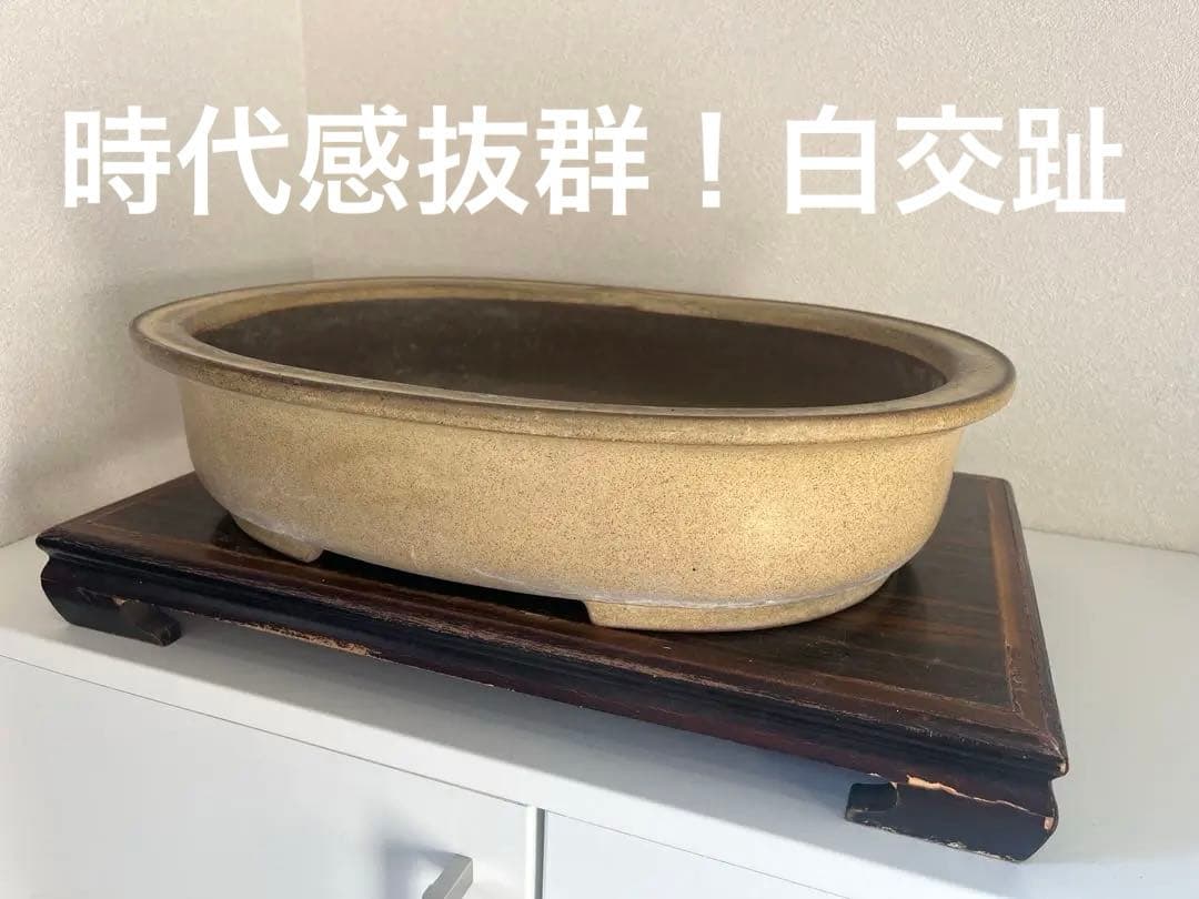 中国古盆器＜白交趾★時代乗り満点★発色抜群・希少、人気型・使い頃サイズ＞楕円