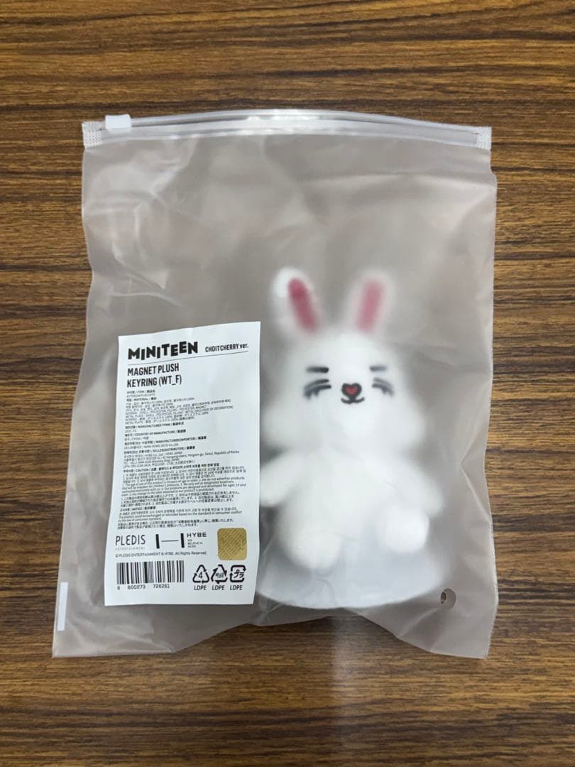 SEVENTEEN MINITEENマグネットキーリング チェチェリ エスクプス
