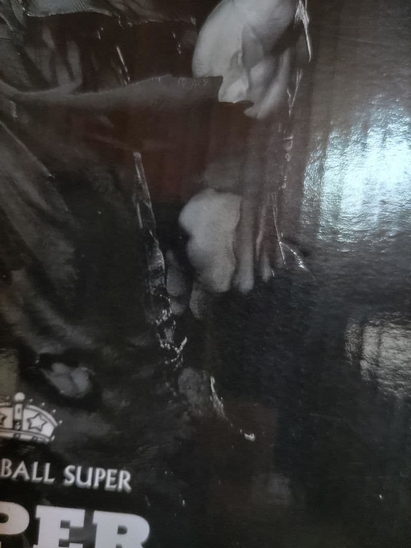 SMSP孫悟空04 D賞 初版ver1.0 二次元彩色