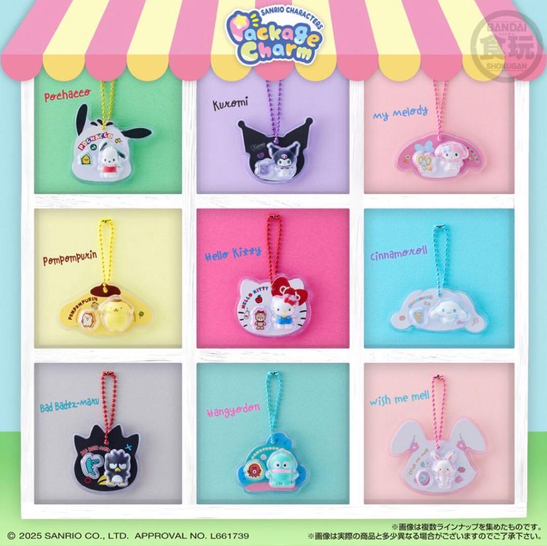 サンリオキャラクターズ パッケージチャーム&チョコボーロ　2BOX