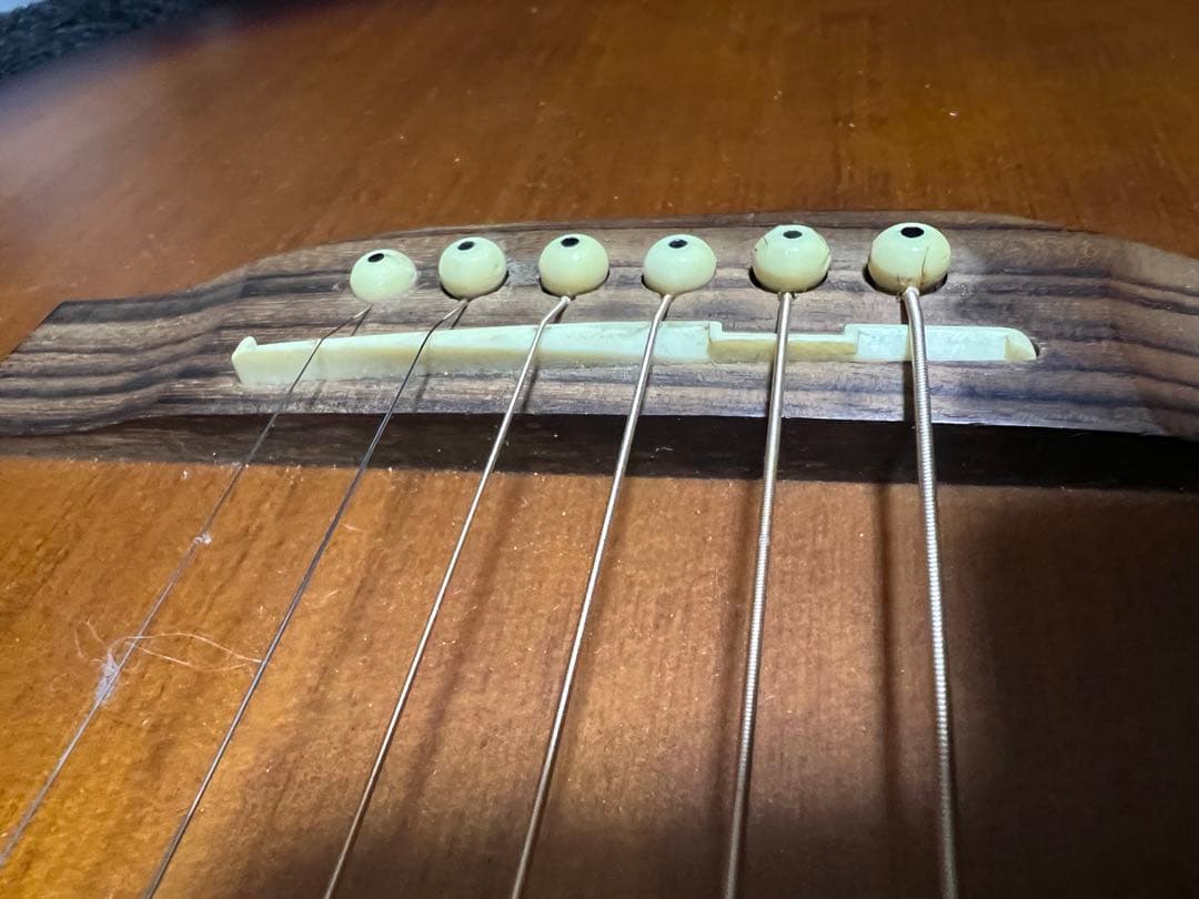 Takamine G Series エレアコ