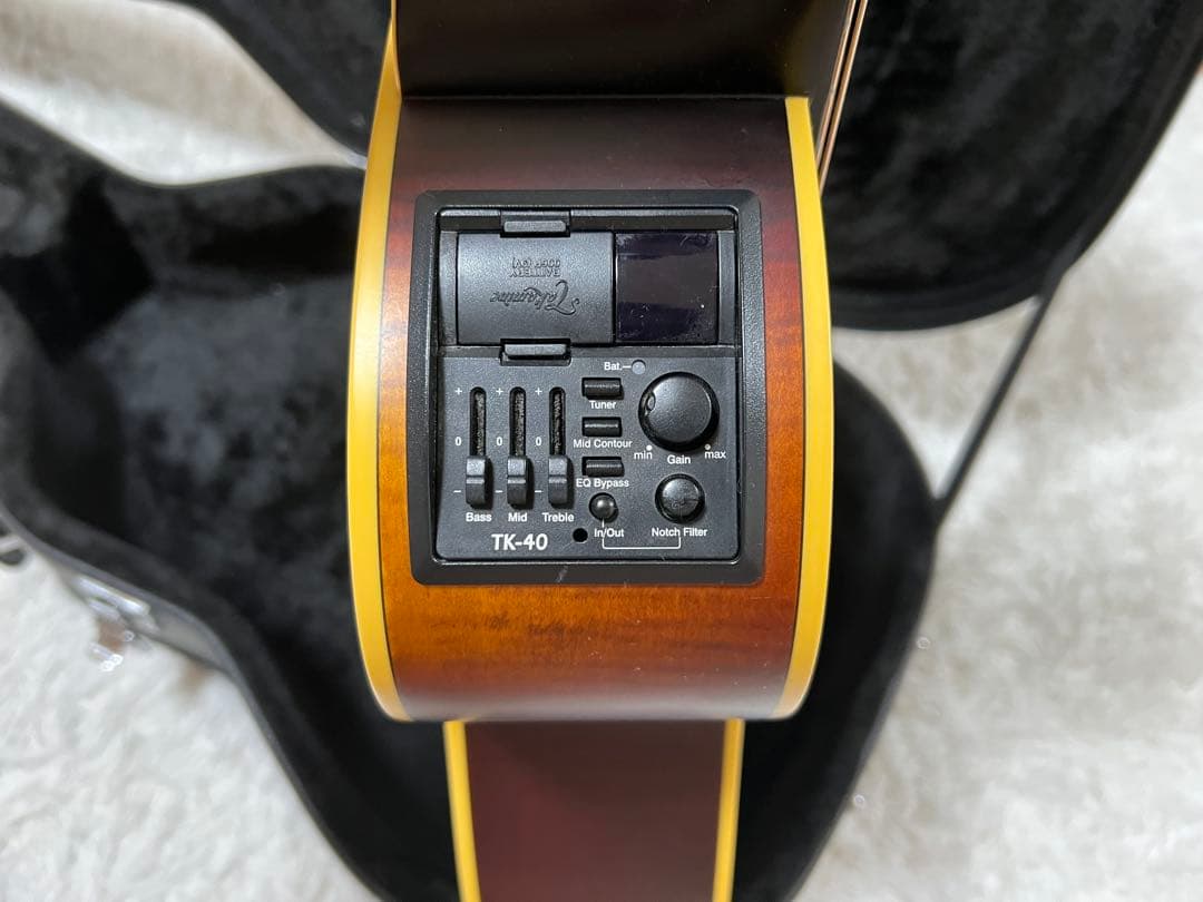 Takamine G Series エレアコ