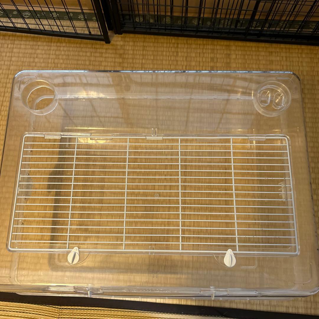 ハムスター ケージ 飼育セット ルーミィ